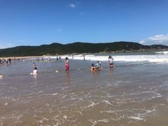 -阿伍海鲜大排档(塔湾金沙店)