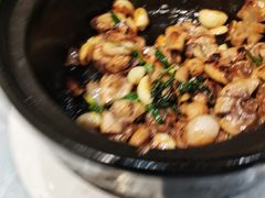-邑家人·山水四合院