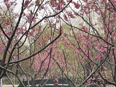 -梁鸿国家湿地公园