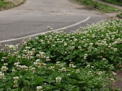 -樱桃山旅游景区