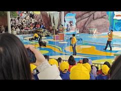 -海合安成都极地海洋公园