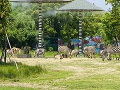 -宁波野生动物园