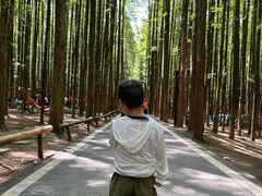 -山王坪喀斯特国家生态公园
