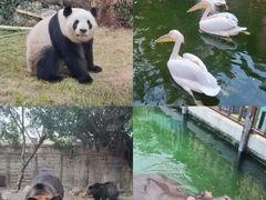 -灵玲国际马戏城