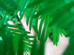 -都江堰中华大熊猫苑