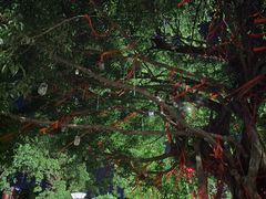 -文华公园(禅城区)