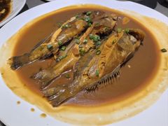 -魚當家