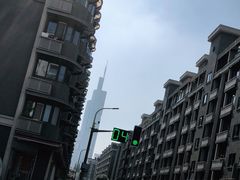-紫峰大厦