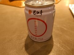 -蜀九香火锅(九眼桥店)