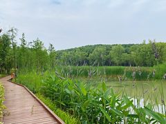 -昆山城市生态森林公园