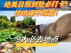 -日照海滨国家森林公园