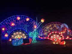 -祥源·阜阳生态乐园