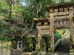 -缙云山景区