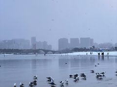 -悦海公园