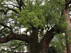 -新安江山水画廊风景区