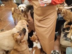 -萌喵咖啡屋(人民东路4号口M16商铺店)