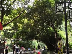 -成都市活水公园