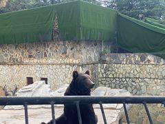 -云南野生动物园