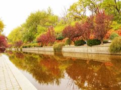 -元大都城垣遗址公园