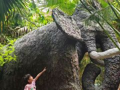 -呀路古热带植物园