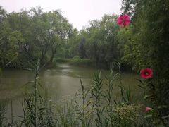 -长兴太湖图影湿地文化园