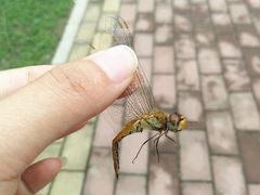 -白水寺森林公园