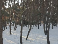 -林海公园