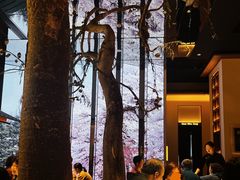 -桂满陇·海市蜃楼·黑金(国金店)