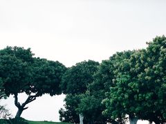 -红花山公园