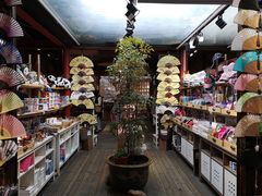 -猫的天空之城概念书店(苏州平江店)