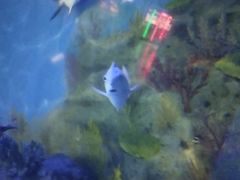 -常州海昌海洋探索馆