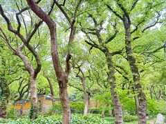 -普陀山风景名胜区-法雨禅寺