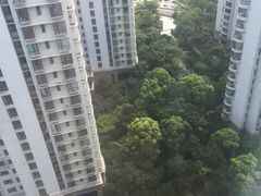 -新湖明珠城