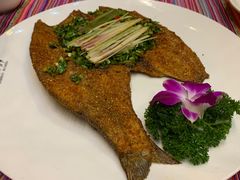 -香巴拉云南餐厅(华莱坞店)