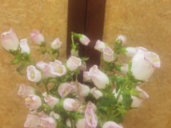 -新木器时代餐厅(太湖新天地店)