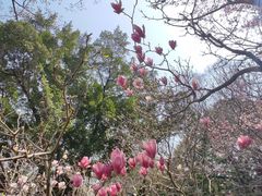 -乌山风景区