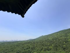 -灵谷景区