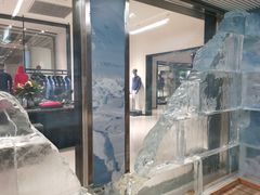 -Canada Goose加拿大鹅(沈阳万象城店)