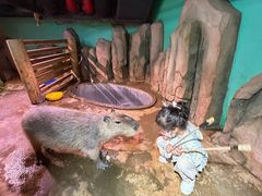 -正佳雨林生态植物园
