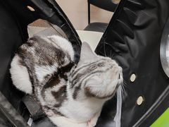 -瑞鹏宠物医院·爱宠堂·骨外专科(西荷分院)