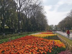 -玄武湖景区-情侣园游乐场