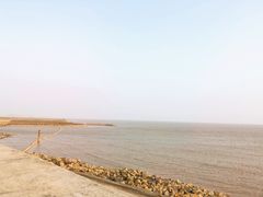 -南汇嘴观海公园