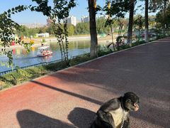 -水上乐园·欢乐世界