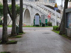 -万绿园