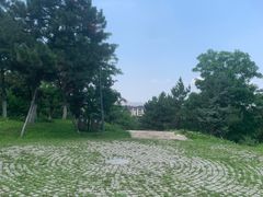 -莫子山公园