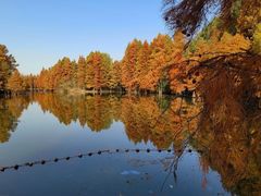 -尚湖风景区