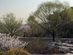 -北京西山国家森林公园