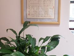 -乐悠琴馆·古琴古筝