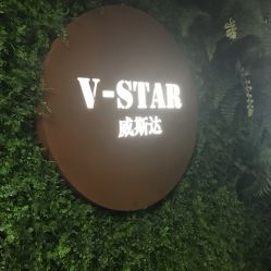 -V-STAR威斯达•高级私人定制