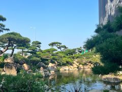 -罗红摄影艺术馆